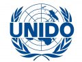 UNIDO 유엔산업개발기구